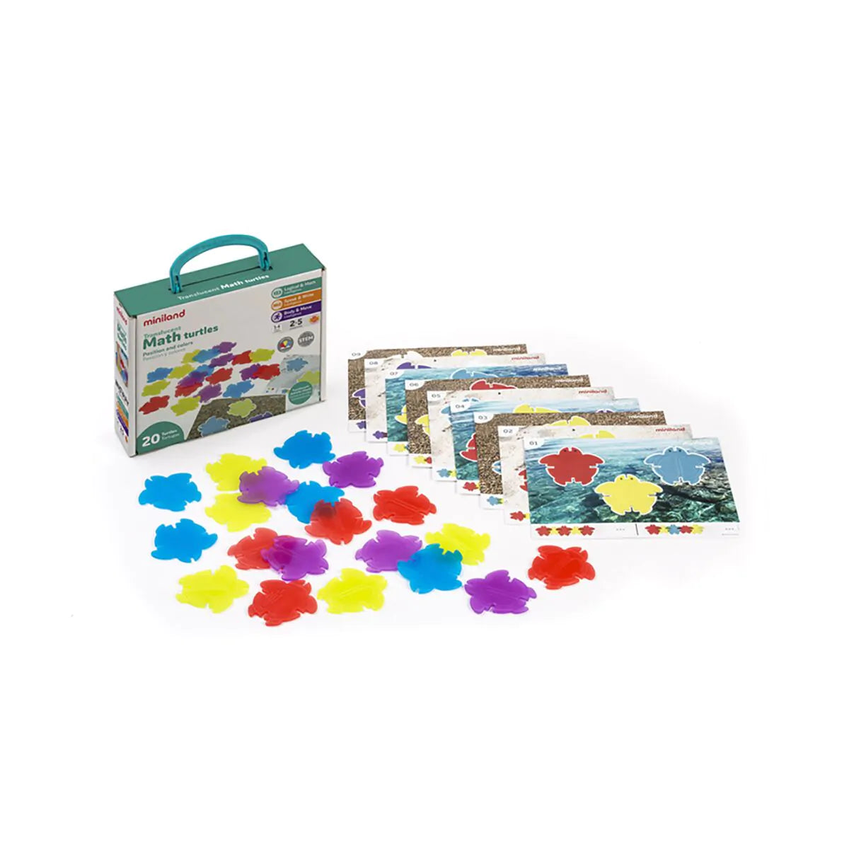 Color y posición Translucent Math Turtles - Miniland