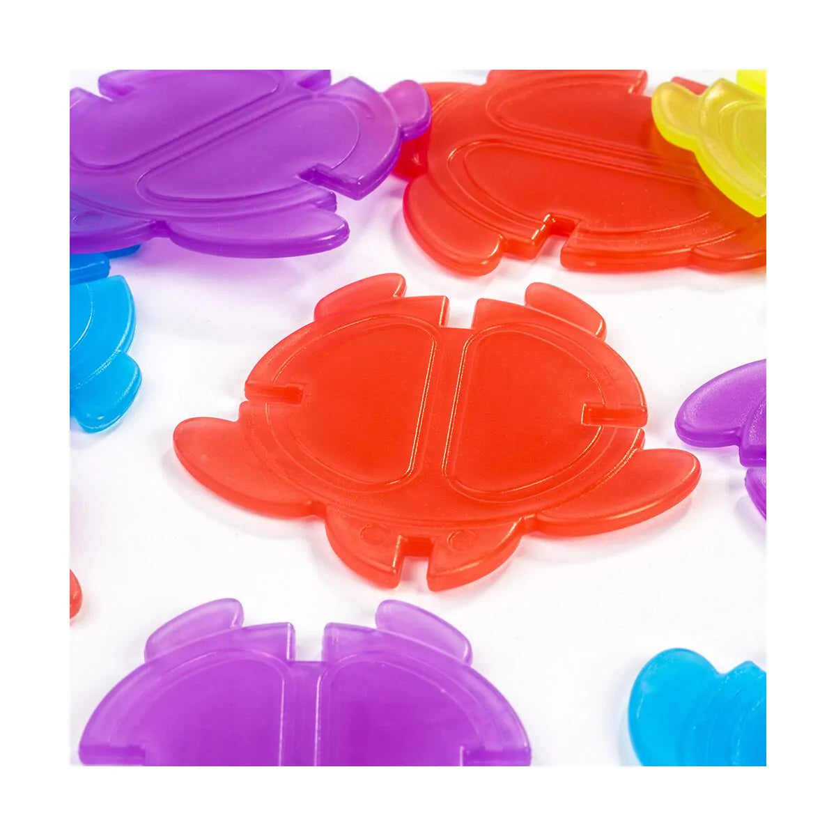 Color y posición Translucent Math Turtles - Miniland