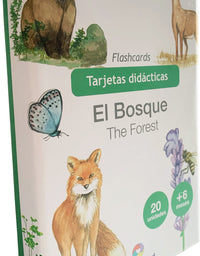 Flashcards El Bosque – Unlimited
