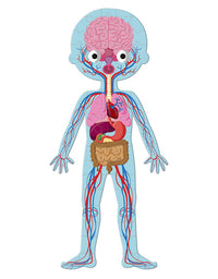 Rompecabeza Educativo Cuerpo Humano 3×1 (50, 75 y 100 piezas) – Janod
