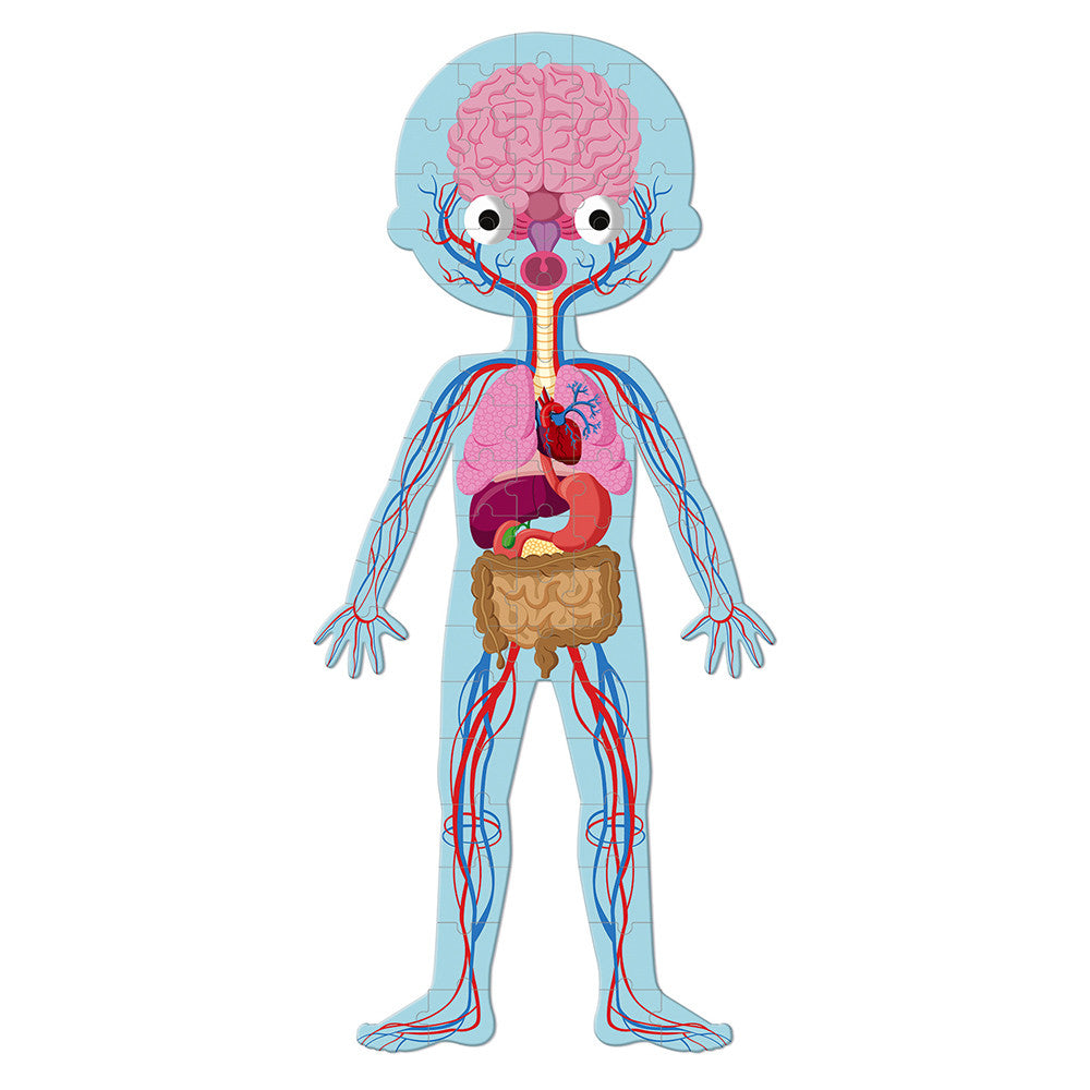 Rompecabeza Educativo Cuerpo Humano 3×1 (50, 75 y 100 piezas) – Janod