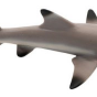 Animal Tiburón Punta Negra - Safari-8354