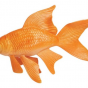 Animal Goldfish – XL - Safari-8338