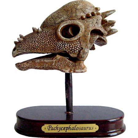 Kit de excavación Cráneo de dinosaurio – Die Spiegelburg