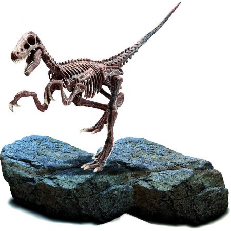 Super Kit de Investigación Velociraptor –  Lisciani