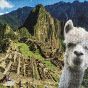 Rompecabeza Machu Picchu – Upa Games