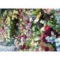 Rompecabezas Flores y flores 1000 piezas Giftbox – Gibsons
