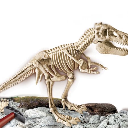 Arqueojugando El Esqueleto del Gran T-Rex – Clementoni